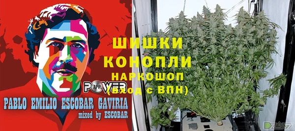 метадон Нея