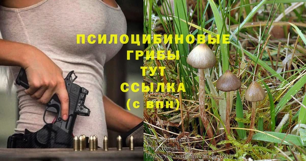 метадон Нея