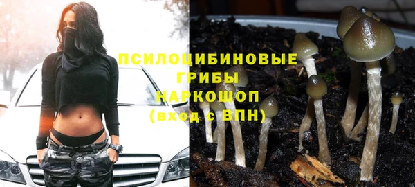 метадон Нея