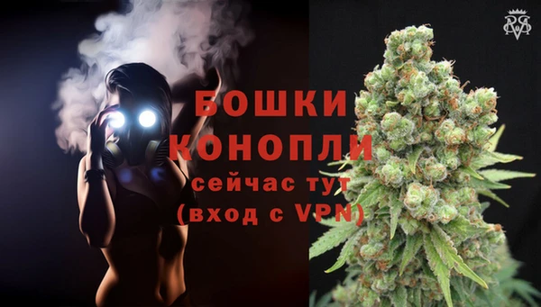метадон Нея