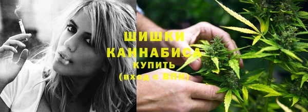 ECSTASY Нефтекумск